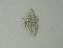  ( - BC ZSM Lep 72786)  @12 [ ] CreativeCommons - Attribution Non-Commercial Share-Alike (2015) Axel Hausmann/Bavarian State Collection of Zoology (ZSM) SNSB, Zoologische Staatssammlung Muenchen
