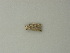  ( - BC ZSM Lep 72859)  @12 [ ] CreativeCommons - Attribution Non-Commercial Share-Alike (2015) Axel Hausmann/Bavarian State Collection of Zoology (ZSM) SNSB, Zoologische Staatssammlung Muenchen