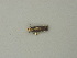 ( - BC ZSM Lep 73362)  @12 [ ] CreativeCommons - Attribution Non-Commercial Share-Alike (2015) Axel Hausmann/Bavarian State Collection of Zoology (ZSM) SNSB, Zoologische Staatssammlung Muenchen