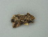  ( - BC ZSM Lep 73363)  @12 [ ] CreativeCommons - Attribution Non-Commercial Share-Alike (2015) Axel Hausmann/Bavarian State Collection of Zoology (ZSM) SNSB, Zoologische Staatssammlung Muenchen