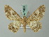  ( - BC ZSM Lep 74528)  @11 [ ] CreativeCommons - Attribution Non-Commercial Share-Alike (2015) Axel Hausmann/Bavarian State Collection of Zoology (ZSM) SNSB, Zoologische Staatssammlung Muenchen