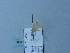 (Idaea purpurariata - BC ZSM Lep 74961)  @12 [ ] CreativeCommons - Attribution Non-Commercial Share-Alike (2015) Axel Hausmann/Bavarian State Collection of Zoology (ZSM) SNSB, Zoologische Staatssammlung Muenchen