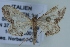  ( - BC NP 0384)  @11 [ ] Copyright (2010) Unspecified Research Collection of Norbert Poell
