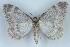  ( - BC NP 0424)  @13 [ ] Copyright (2010) Unspecified Research Collection of Norbert Poell
