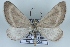  ( - BC NP 0426)  @14 [ ] Copyright (2010) Unspecified Research Collection of Norbert Poell