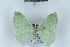 ( - BC NP 0454)  @11 [ ] Copyright (2010) Unspecified Research Collection of Norbert Poell