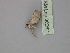  ( - BC ZSM Lep 30262)  @12 [ ] CreativeCommons - Attribution Non-Commercial Share-Alike (2010) Unspecified SNSB, Zoologische Staatssammlung Muenchen