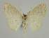 ( - BC EF Alc 00433)  @14 [ ] Copyright (2010) Unspecified Research Collection of Egbert Friedrich