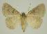  ( - BC EF Alc 00434)  @13 [ ] Copyright (2010) Unspecified Research Collection of Egbert Friedrich