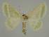  ( - BC EF Alc 00435)  @13 [ ] Copyright (2010) Unspecified Research Collection of Egbert Friedrich