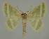  ( - BC EF Alc 00436)  @14 [ ] Copyright (2010) Unspecified Research Collection of Egbert Friedrich
