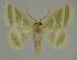  ( - BC EF Alc 00437)  @13 [ ] Copyright (2010) Unspecified Research Collection of Egbert Friedrich