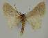  ( - BC EF Alc 00439)  @13 [ ] Copyright (2010) Unspecified Research Collection of Egbert Friedrich
