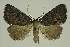  ( - BC EF Alc 00442)  @13 [ ] Copyright (2010) Unspecified Research Collection of Egbert Friedrich