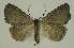  ( - BC EF Alc 00442)  @12 [ ] Copyright (2010) Unspecified Research Collection of Egbert Friedrich