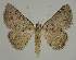  ( - BC EF Alc 00446)  @14 [ ] Copyright (2010) Unspecified Research Collection of Egbert Friedrich