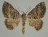  ( - BC EF Alc 00447)  @13 [ ] Copyright (2010) Unspecified Research Collection of Egbert Friedrich