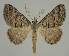  ( - BC EF Alc 00448)  @14 [ ] Copyright (2010) Unspecified Research Collection of Egbert Friedrich