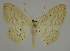  ( - BC EF Alc 00454)  @14 [ ] Copyright (2010) Unspecified Research Collection of Egbert Friedrich