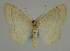  ( - BC EF Alc 00454)  @14 [ ] Copyright (2010) Unspecified Research Collection of Egbert Friedrich