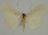  ( - BC EF Alc 00455)  @13 [ ] Copyright (2010) Unspecified Research Collection of Egbert Friedrich