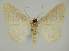  ( - BC EF Alc 00461)  @13 [ ] Copyright (2010) Unspecified Research Collection of Egbert Friedrich