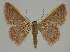  ( - BC EF Alc 00462)  @14 [ ] Copyright (2010) Unspecified Research Collection of Egbert Friedrich