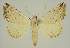  ( - BC EF Alc 00468)  @14 [ ] Copyright (2010) Unspecified Research Collection of Egbert Friedrich