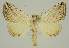  ( - BC EF Alc 00469)  @14 [ ] Copyright (2010) Unspecified Research Collection of Egbert Friedrich