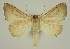  ( - BC EF Alc 00469)  @13 [ ] Copyright (2010) Unspecified Research Collection of Egbert Friedrich