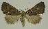  ( - BC EF Alc 00486)  @13 [ ] Copyright (2010) Unspecified Research Collection of Egbert Friedrich