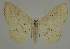  ( - BC EF Alc 00490)  @13 [ ] Copyright (2010) Unspecified Research Collection of Egbert Friedrich