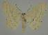  ( - BC EF Alc 00491)  @14 [ ] Copyright (2010) Unspecified Research Collection of Egbert Friedrich