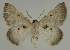  ( - BC EF Alc 00525)  @13 [ ] Copyright (2010) Unspecified Research Collection of Egbert Friedrich