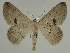  ( - BC EF Alc 00526)  @13 [ ] Copyright (2010) Unspecified Research Collection of Egbert Friedrich