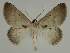  ( - BC EF Alc 00526)  @13 [ ] Copyright (2010) Unspecified Research Collection of Egbert Friedrich