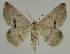  ( - BC EF Alc 00527)  @13 [ ] Copyright (2010) Unspecified Research Collection of Egbert Friedrich