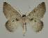  ( - BC EF Alc 00527)  @13 [ ] Copyright (2010) Unspecified Research Collection of Egbert Friedrich