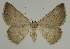  ( - BC EF Alc 00529)  @13 [ ] Copyright (2010) Unspecified Research Collection of Egbert Friedrich