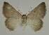  ( - BC EF Alc 00529)  @13 [ ] Copyright (2010) Unspecified Research Collection of Egbert Friedrich