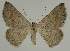  ( - BC EF Alc 00530)  @13 [ ] Copyright (2010) Unspecified Research Collection of Egbert Friedrich