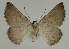  ( - BC EF Alc 00530)  @13 [ ] Copyright (2010) Unspecified Research Collection of Egbert Friedrich