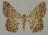  ( - BC EF Alc 00531)  @14 [ ] Copyright (2010) Unspecified Research Collection of Egbert Friedrich