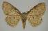  ( - BC EF Alc 00535)  @14 [ ] Copyright (2010) Unspecified Research Collection of Egbert Friedrich