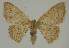  ( - BC EF Alc 00537)  @13 [ ] Copyright (2010) Unspecified Research Collection of Egbert Friedrich
