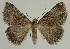  ( - BC EF Alc 00540)  @14 [ ] Copyright (2010) Unspecified Research Collection of Egbert Friedrich