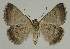  ( - BC EF Alc 00540)  @12 [ ] Copyright (2010) Unspecified Research Collection of Egbert Friedrich