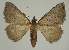  ( - BC EF Alc 00542)  @14 [ ] Copyright (2010) Unspecified Research Collection of Egbert Friedrich