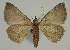  ( - BC EF Alc 00542)  @14 [ ] Copyright (2010) Unspecified Research Collection of Egbert Friedrich