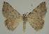  ( - BC EF Alc 00543)  @13 [ ] Copyright (2010) Unspecified Research Collection of Egbert Friedrich